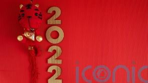 Chinese New Year: What is the significance of the Year of the Tiger, and what does it mean for you?