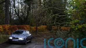 ADVICE: How to stay safe behind the wheel in stormy conditions