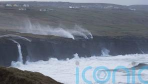 Man killed by falling tree as Storm Eunice lashes Ireland