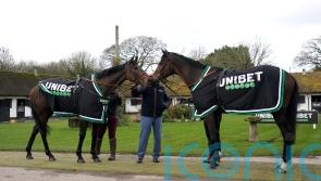 Constitution Hill and Jonbon preparing to battle for supremacy