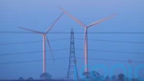 Energy from Irish wind farms provided over half of country's electricity in February