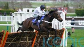 Constitution Hill simply supreme for Henderson in Cheltenham opener