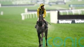 Ground woe for Shishkin and Henderson at Cheltenham