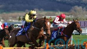 State Man proves different class in County Hurdle