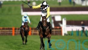 Mullins again as The Nice Guy proves best in Albert Bartlett