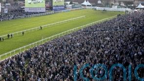 Bookmakers left reeling by Mullins and Blackmore