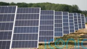 Large-scale solar farm is first to connect to national grid in Ireland