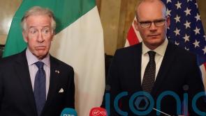 Issue over Northern Ireland Protocol seems 'manufactured', US delegate says