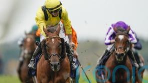 Haggas issues Addeybb warning ahead of Brigadier Gerard return