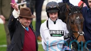 Constitution Hill given record rating for a novice hurdler