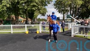 Bin Suroor looking to Wolferton Stakes with Shining Blue