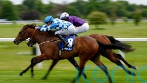 Maria Branwell collars Crispy Cat in National Stakes