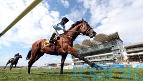 Gold Cup bid ruled out for Thunderous