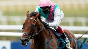 Lockinge run suggests Sunray in with major chance at Haydock