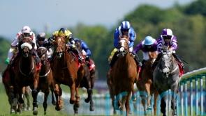 Contact makes an impression at Haydock