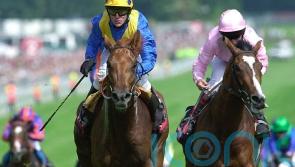 Fallon salutes Stoute and the &lsquo;greatest training performance of all time&rsquo;