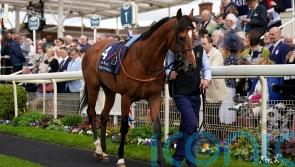 Ferguson retains El Bodegon faith ahead of French Derby bid