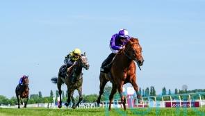 Amo Racing lining up strong Royal Ascot challenge