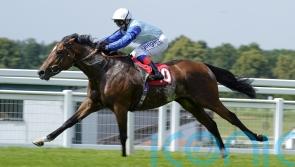 Hills savouring Derby challenge with Sonny Liston