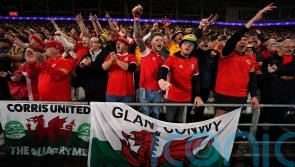 Wales fans warned against pitch invasion at Ukraine play-off
