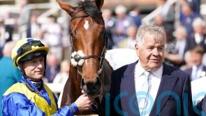 Hot favourite Desert Crown handed stall 12 in Derby