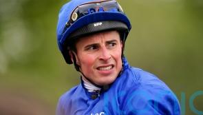 Buick hoping to add another Derby victory to burgeoning CV