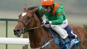 Lone Eagle in contention for Hardwicke Stakes