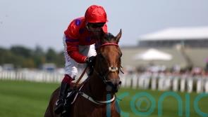 Walker favouring Falmouth next for Dreamloper