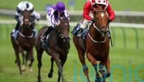 Saffron Beach in Duke of Cambridge contention