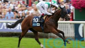 Hoo Ya Mal added to King Edward field