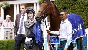 Progressive Mitbaahy impresses in Scurry Stakes