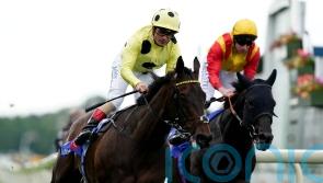 Without A Fight comes out on top at York