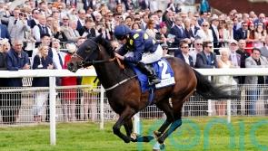 Harry Three too good in valuable York sprint