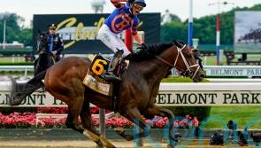Mo Donegal and Ortiz Jr shine in Belmont Stakes