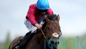 Bay Bridge declared for five-star Prince of Wales&rsquo;s Stakes