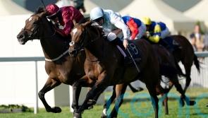 Neil Callan records victory to savour with Rising Star