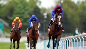 Savvy success not beyond Woods contender in King Edward