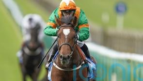 Lone Eagle team looking for suitable option