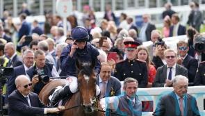 Tuesday &lsquo;very possible&rsquo; to be supplemented for Irish Derby