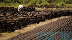 Govt expected to consider new targets for cutting carbon emissions