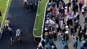 Queen Mary runner-up Maylandsea heading for Newmarket