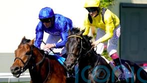 Maljoom booked for Prix Jacques le Marois