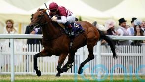 Options open for Missed The Cut with overseas targets beckoning