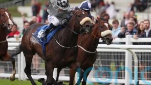 Romantic Proposal under consideration for July Cup