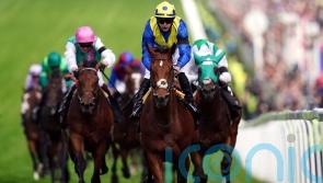 Derby hero Desert Crown backed to shine over shorter trips