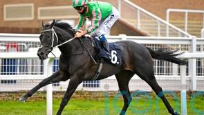 Goodwood on Pogo&rsquo;s agenda after Criterion success