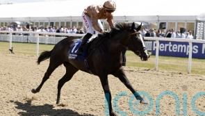 Sense Of Duty blitzes Chipchase rivals