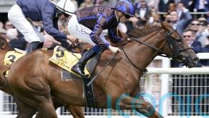 Condon has York in mind for Teresa Mendoza