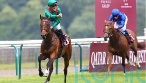 French Derby hero Vadeni heads six chasing Eclipse crown