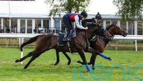 Artorius pleases in Newmarket spin before July Cup bid
